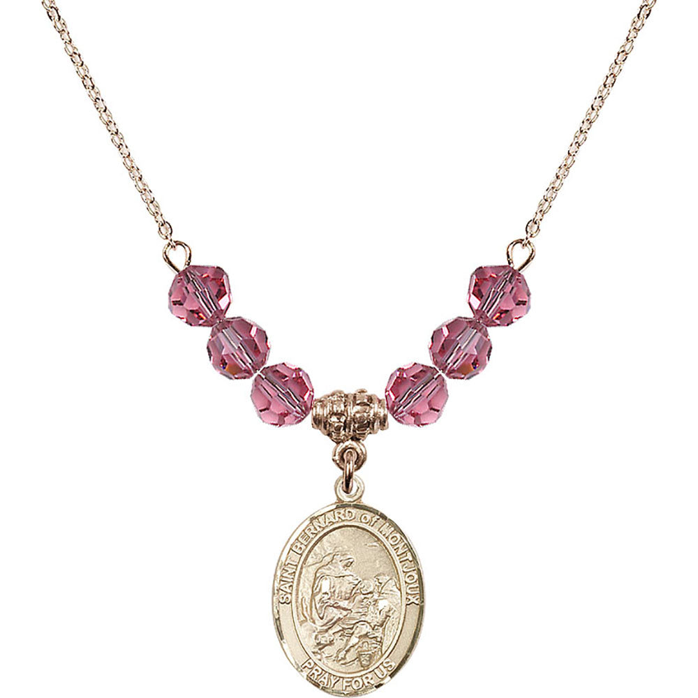 14kt Gold Filled Saint Bernard of Montjoux Birthstone Necklace with Rose Beads - 8264